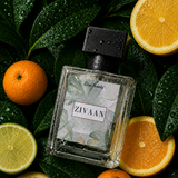 ZIVAAN